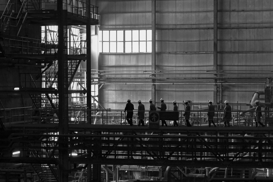 Team planning next steps for 24/7 Veterinary Telemedicine Platform